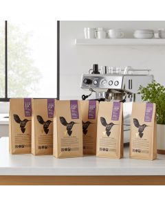 Kinti Coffee Intenso Specialty Blend 6x1kg
