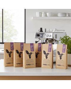 Kinti Coffee Intenso Specialty Blend 6x1kg