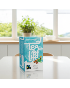 Tea of Life Sterrenmunt fairtrade 1,5gr (100 zakjes)